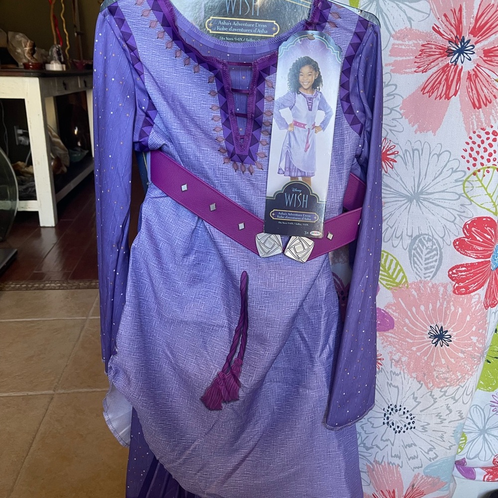 Disney Wish Asha's Adventure Dress
